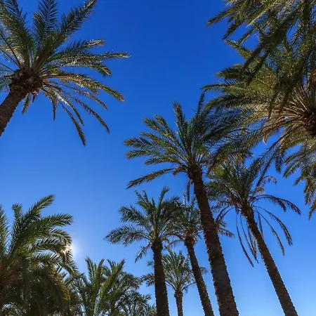 Apartamento Playa Bajondillo Molino Torremolinos
